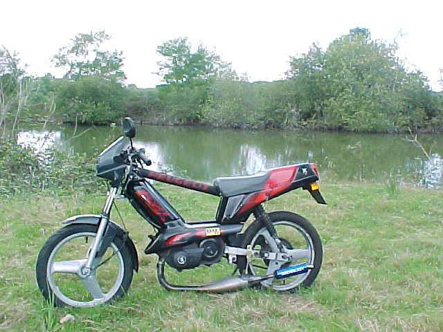 423 - PETITE PAUSE AU BORD D'UN ETANG DE SOLOGNE.jpg